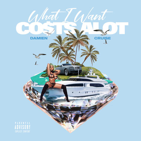 What I Want Costs a Lot