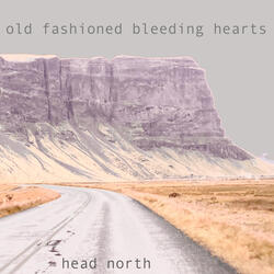 Head North