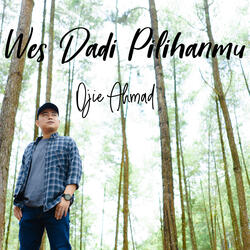 Wes Dadi Pilihanmu
