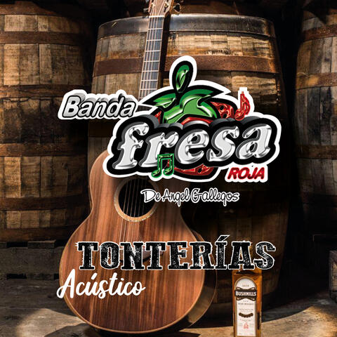 Tonterías - Acústico
