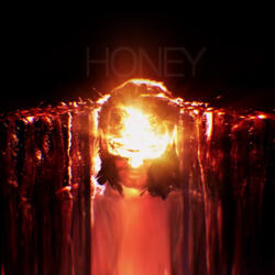 Honey ( The Polish Ambassador Remix)