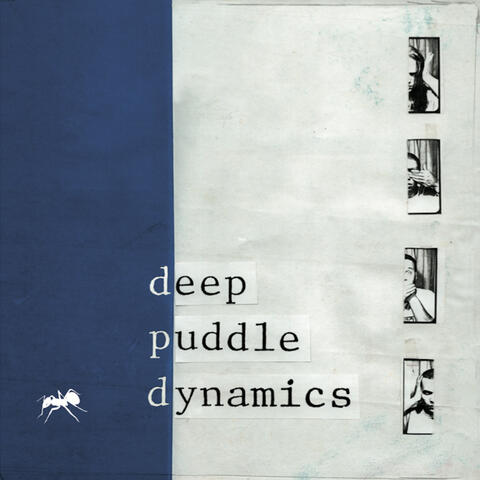 Deep Puddle Dynamics
