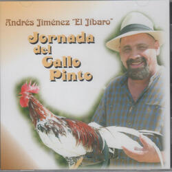 La Fiesta De Los Galleros