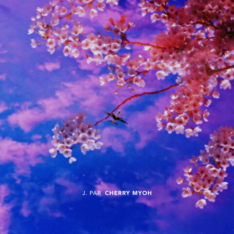 Cherry Myoh