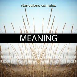 Meaning