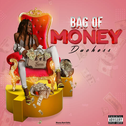 Bag of Money