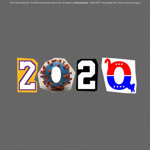 The 2020 Song (Never Wanna See You Again)