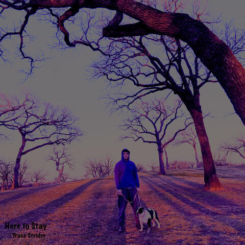Here to Stay