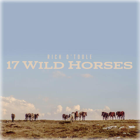 17 Wild Horses