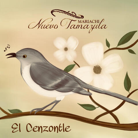 El Cenzontle