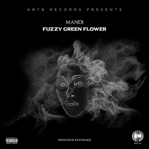 Fuzzy Green Flower