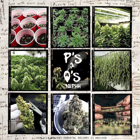 P's & Q's