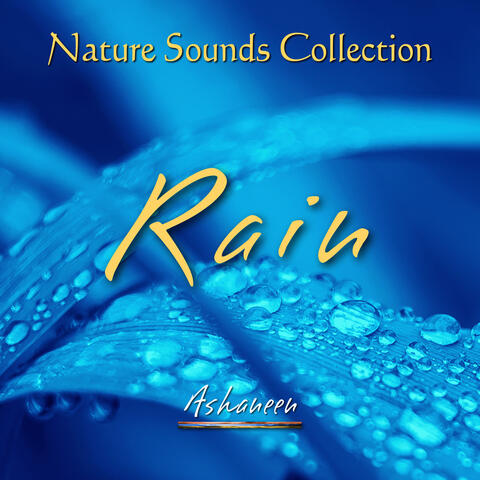 Nature Sounds Collection: Rain