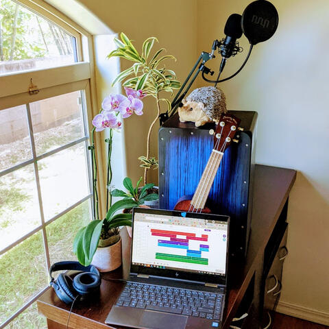 A Day at Orchid Studios