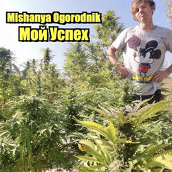 Зверем