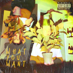 What You Want