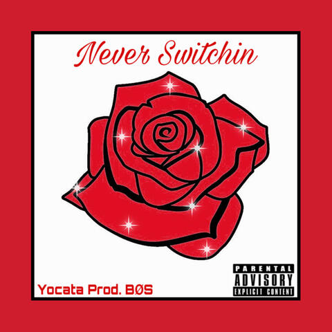 Never Switchin