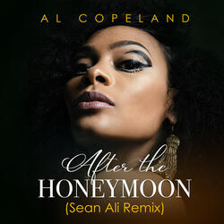 After the Honeymoon (Sean Ali Remix) [Soul Groove Edit Instrumental]