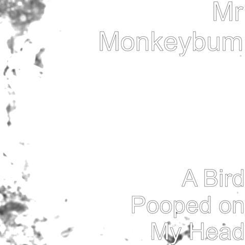 Mr Monkeybum