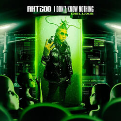 Ant Flow
