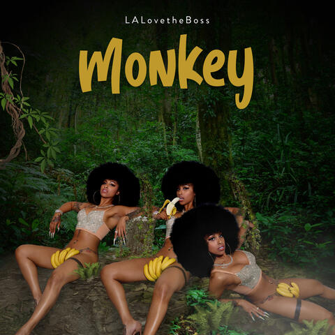 Monkey