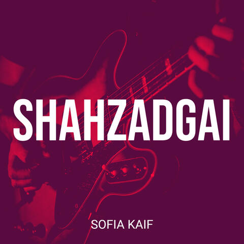 Shahzadgai