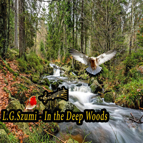 In the Deep Woods
