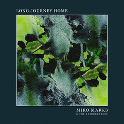 Long Journey Home