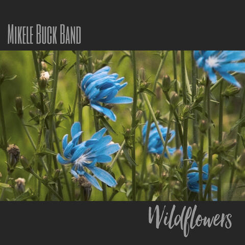 Wildflowers