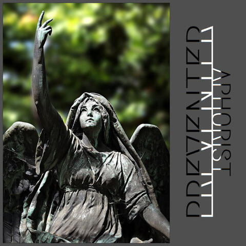 Aphorist