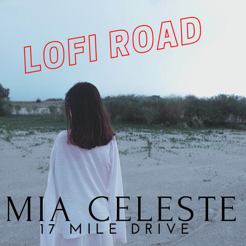 17 Mile Drive (Lofi Road)