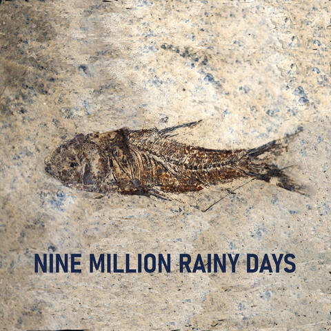 Nine Million Rainy Days