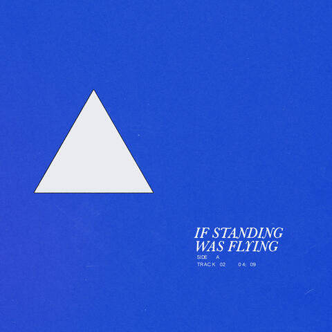 If Standing Was Flying