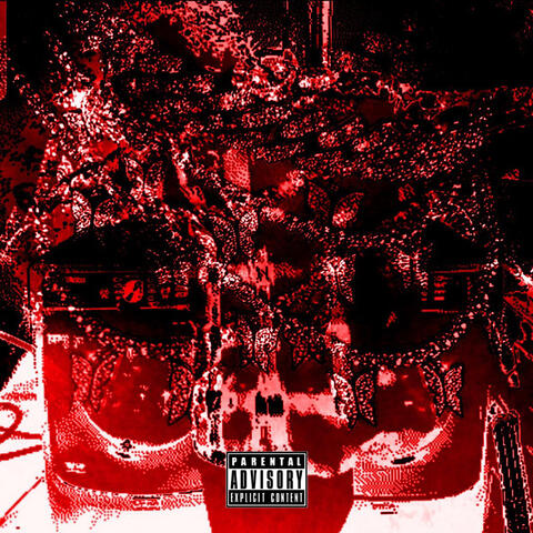 D.$.O.$