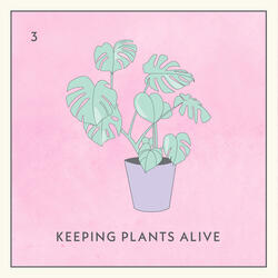 Keeping Plants Alive