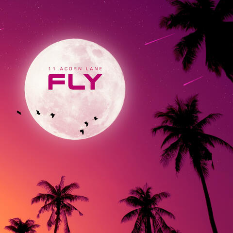 Fly
