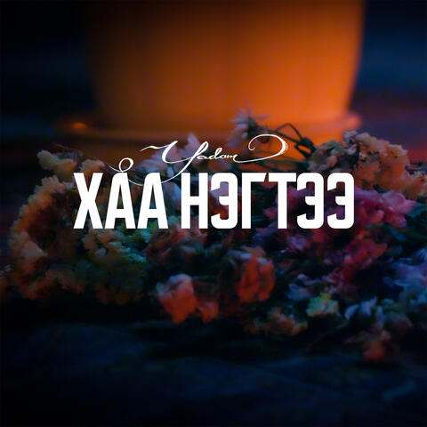 Хаа Нэгтээ