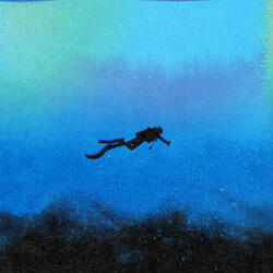 The Diver