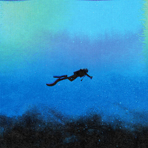 The Diver