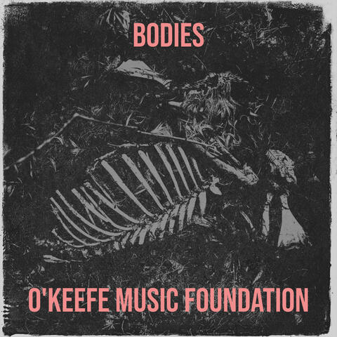 Bodies