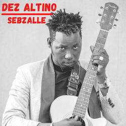 Sebzalle