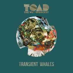 Transient Whales
