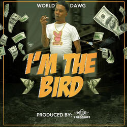 I'm the Bird