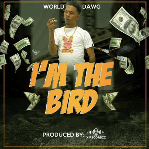 I'm the Bird