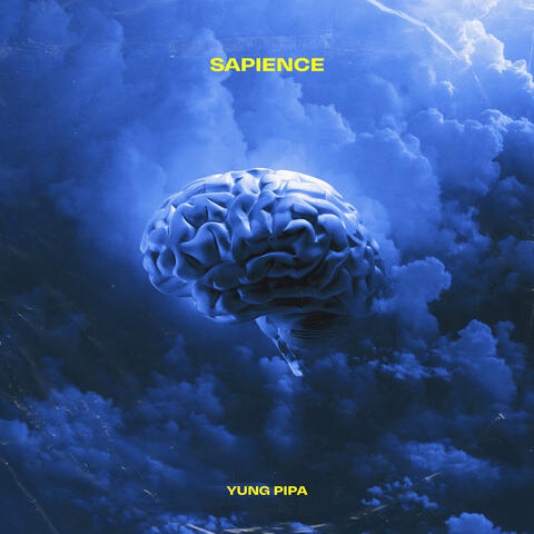 Sapience