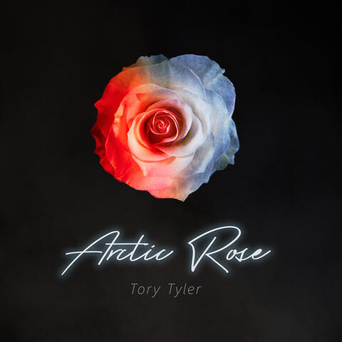 Arctic Rose