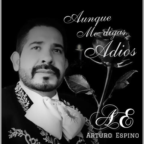 Aunque me Digas Adios