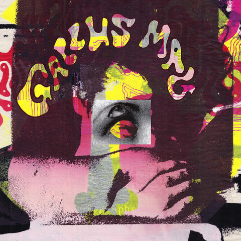 Gallus Mag