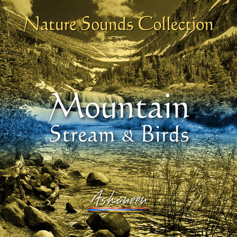 Nature Sounds Collection: Mountain Stream & Birds