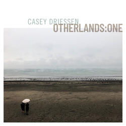 Musical Priest / Toss the Feathers / Lucy Campbell's
